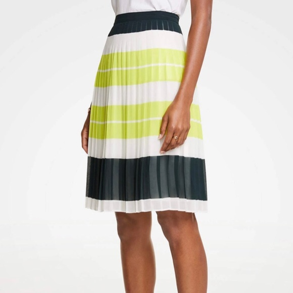 Ann Taylor Skirt